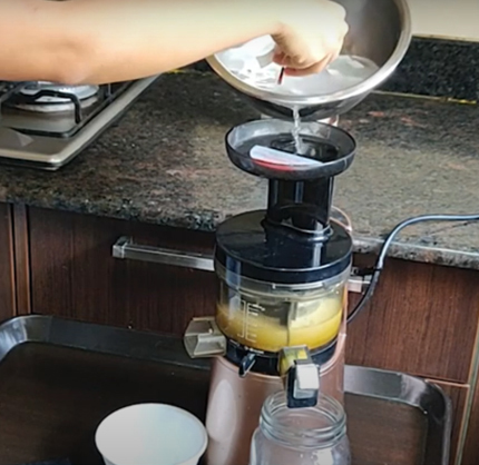 home made coconut milk recipe in cold press juicer